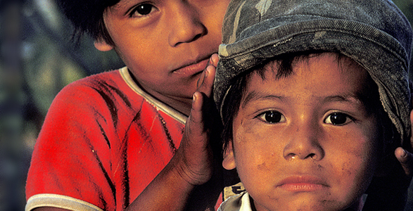VMP Nutrition Foundation