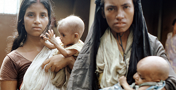 VMP Nutrition Foundation