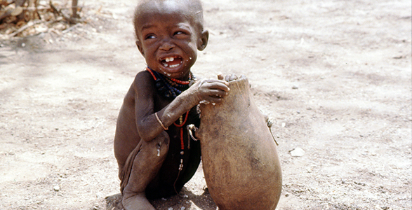 VMP Nutrition Foundation