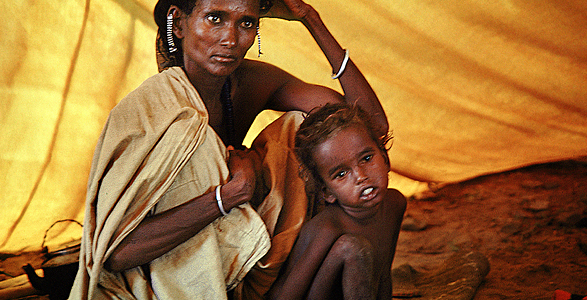 VMP Nutrition Foundation