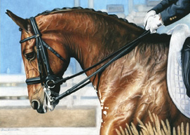 Fine equestrian note cards on heavy stock featuring original art. equestrian note cards, horse shows, alabama horse shows, dressage horse shows