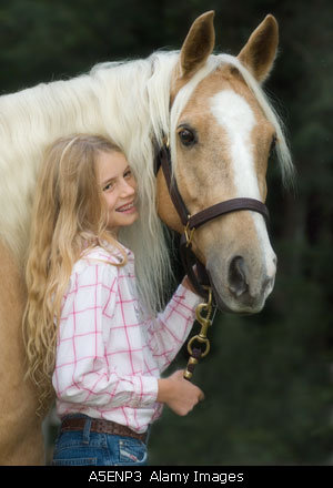 Alabama Palomino Exhibitor Association Horse Shows in Alabama. Palomino Horse Shows, Alabama Palomino Horse Shows, Horse Shows, alabama horse shows