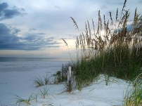 Orange Beach Area photo 2
