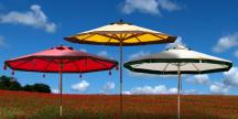 Floral Collection Designer Umbrellas