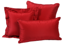christmas pillow set
