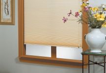 Blinds and Shades