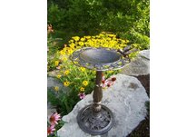 Rose Bird Bath