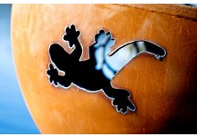 Kokopelli