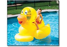 GIANT DUCKY