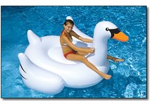 GIANT SWAN