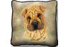 Sharpei Pillow