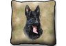 Scottie Pillow