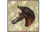 Arabian Horse Lap Square
