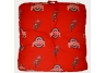 Ohio State Floor Pillow