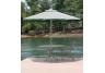 Calla Lily Designer Umbrella