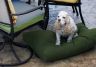 custom pet beds