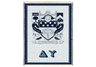 Delta Upsilon Throw