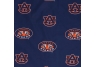 Auburn Tigers