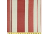 Coral Stripe