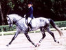 dressage horse shows, dressage shows, horse shows, alabama horse shows