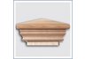 Federal Slip Over Post Cap