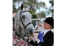 equestrian equipment