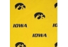 Iowa Hawkeyes
