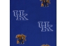 Kentucky Wildcats