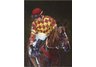equestrian note cards, horse racing note cards, horse racing, equestrian accessories, steeplechase
