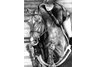 equestrian note cards, hunter jumper note cards, equestrian accessories, fine art note cards
