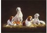 equestrian note cards, hound note cards, foxhunting, equestrian accessories