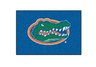 University of Florida Starter Rug