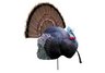 Primos Turkey Decoy