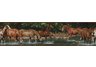 Wild Horses Peel & Stick Border
