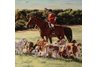 napkins, dog napkins, hand napkins, horse napkins