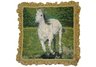 white horse equestrian pillow
