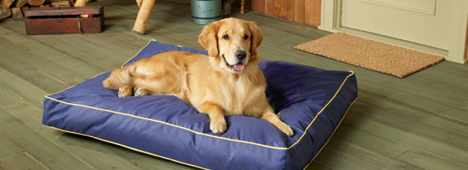 Custom size dog clearance bed