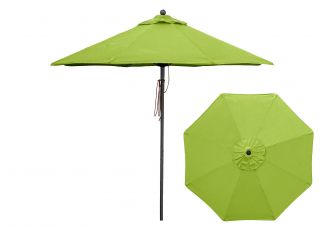 Pistachio umbrella