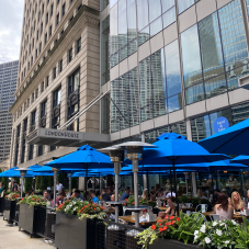 Market Umbrellas with Umbrella Source