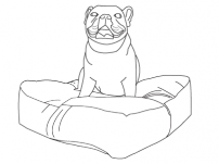 Custom Designer Dog Beds